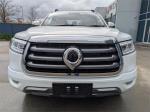 2024 GWM Ute Traytop Cannon-L CC NPW