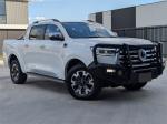 2024 GWM Ute Utility Cannon-L NPW