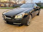 2011 Mercedes-Benz SLK-Class Roadster SLK350 BlueEFFICIENCY R172
