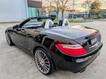 2011 Mercedes-Benz SLK-Class Roadster SLK350 BlueEFFICIENCY R172