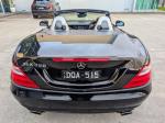 2011 Mercedes-Benz SLK-Class Roadster SLK350 BlueEFFICIENCY R172